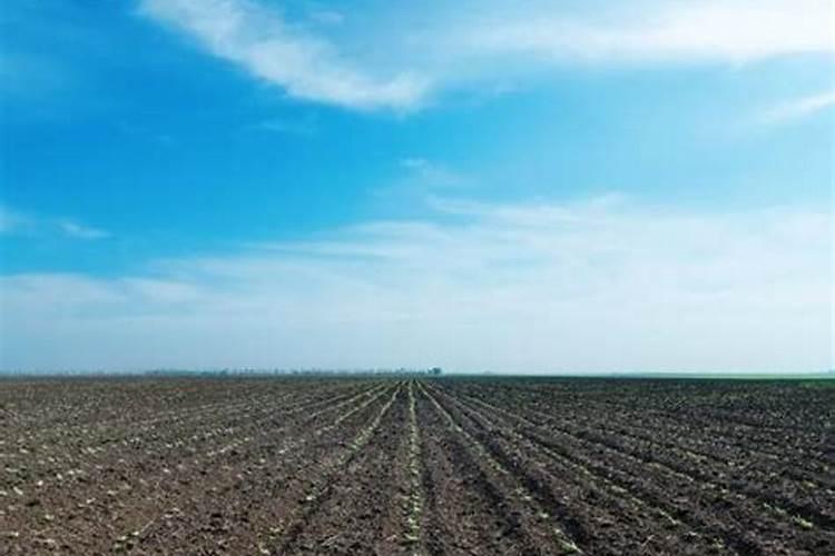 植物施用硒肥有哪几种方式及优缺点