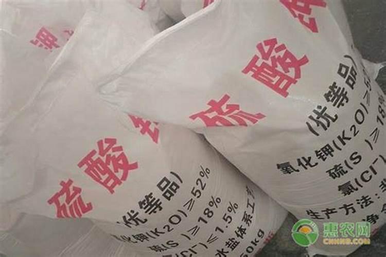 天然钾肥有哪些