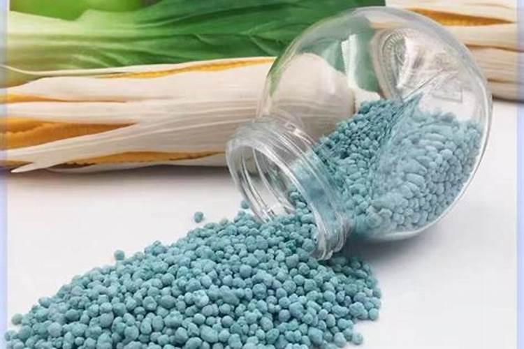 速生杨树用什么肥料长得快