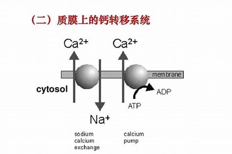 北京金果子科贸有限公司怎么样？