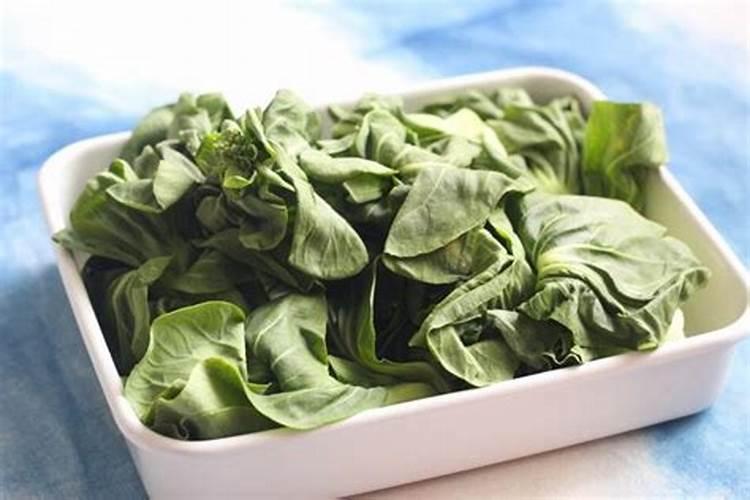 杜英花期多长(杜英花的开放时间)