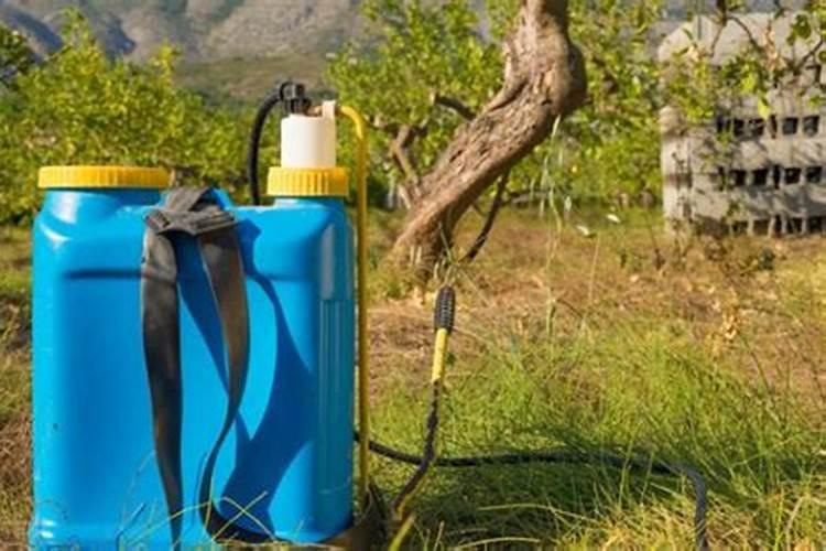 202020水溶肥灌根甘蔗用量是多少