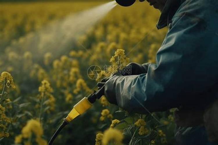 打了除草剂第二天能撒肥料吗
