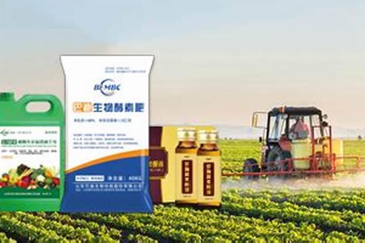 烟台大境生态科技有限公司介绍