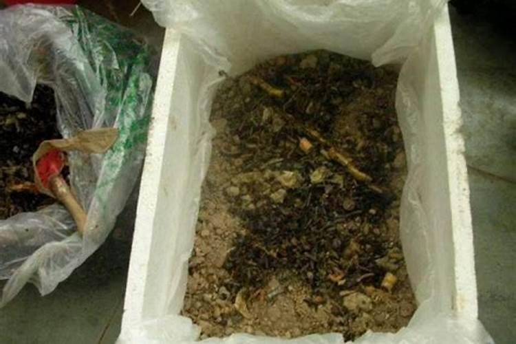 玉米皮可以做肥料吗