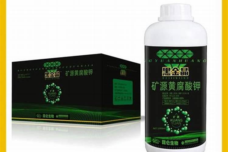 南方山松11月份可以俢剪吗？