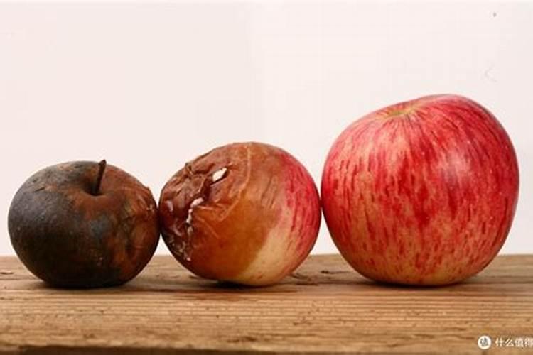 砂糖橘膨果期冲施什么肥料好？砂糖橘结果期专用肥是什么肥料？