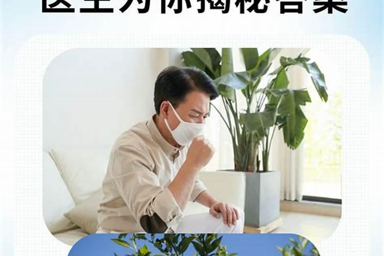橘子施什么肥最好