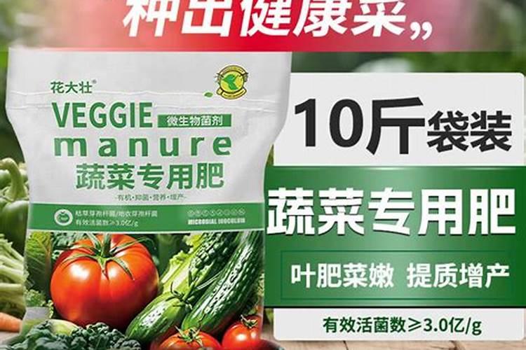 生姜白叶病防治方法