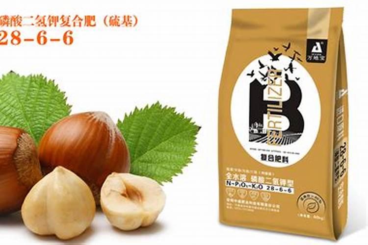 榛子树喷叶面肥的正确方法