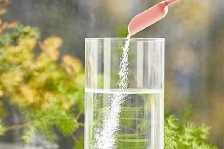 植物如何通过根系吸收水分？