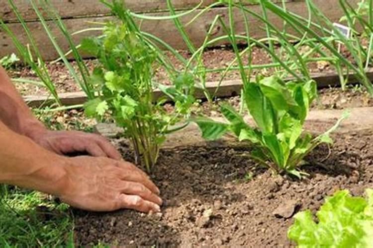 荣成雁冰水产有限公司地址