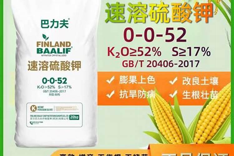 韩国人对中国的看法