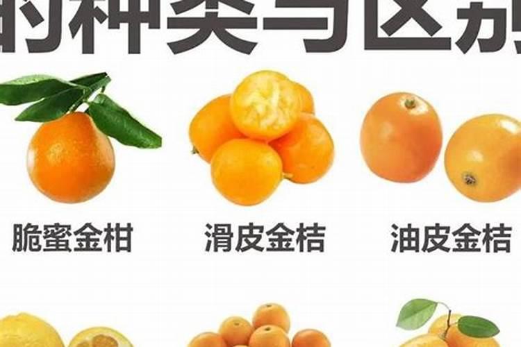 美宝莲什么档次