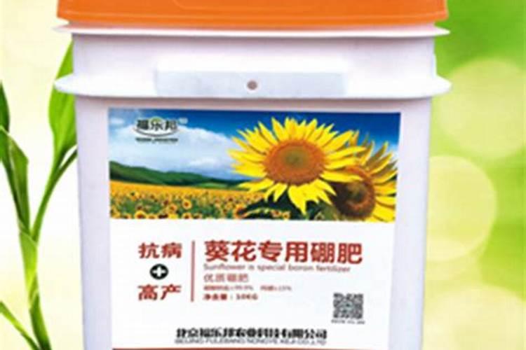 芒果施什么肥料有利于生长？芒果怎么施肥