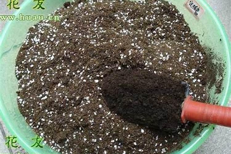 中国名牌肥料免检都是有哪 些