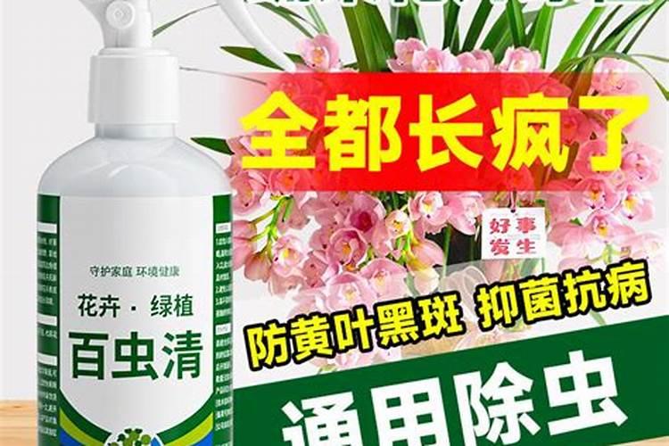 杀菌杀虫剂可以与叶面肥同时混用吗？