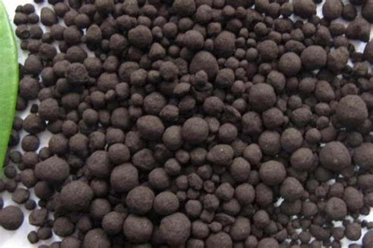 暴雨天气有哪些致命危险？