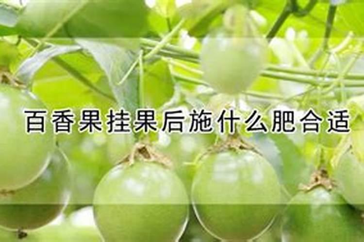 百香果挂果后施什么肥合适