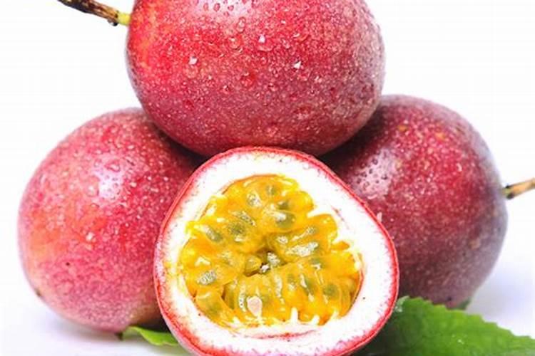 连翘的栽培管理技术