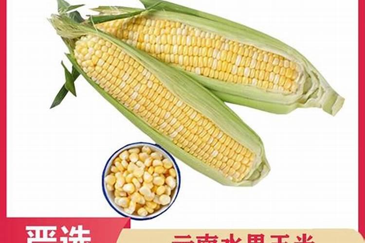 人工种植的“野菜”还算是真正的野菜吗？为何城里人如此喜欢野菜？