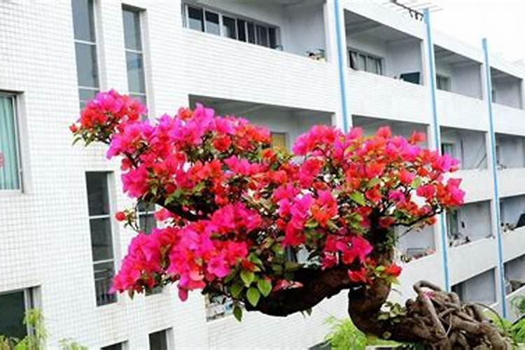 いるです 和 いるんです的区别在哪里