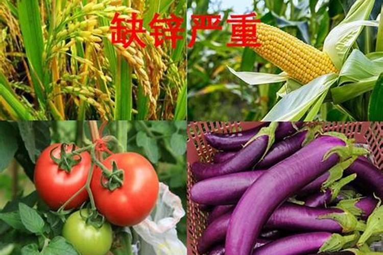 溴菌腈治疗什么病