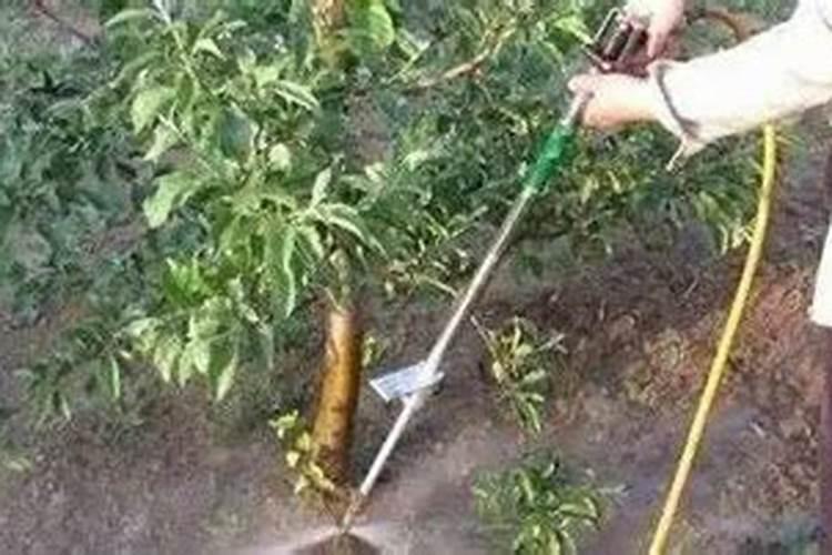 磷酸二氢钠可以打在蔬菜上吗？