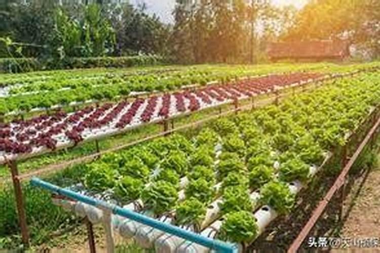 河北富田肥料科技有限公司怎么样？