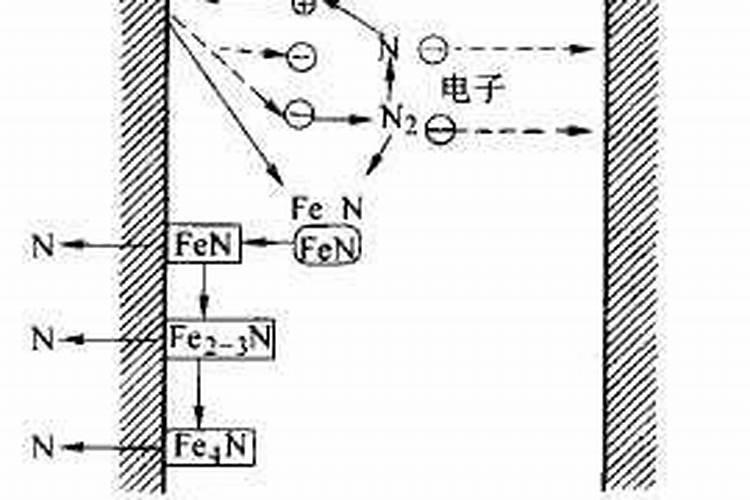 水溶冲施肥大量元素和中量元素的区别