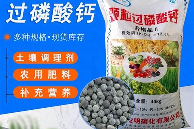 淀粉中主要含有什么(化学式)