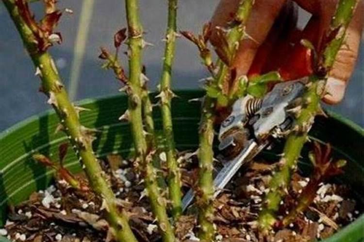 防火板十大品牌有哪些？