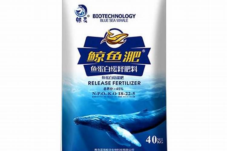 请行家指点夏天怎么养玉露