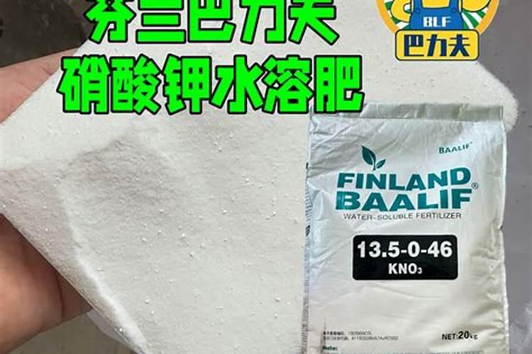 果蔬粉是色素吗