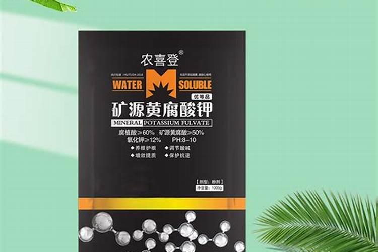 地栽月季怎么施肥