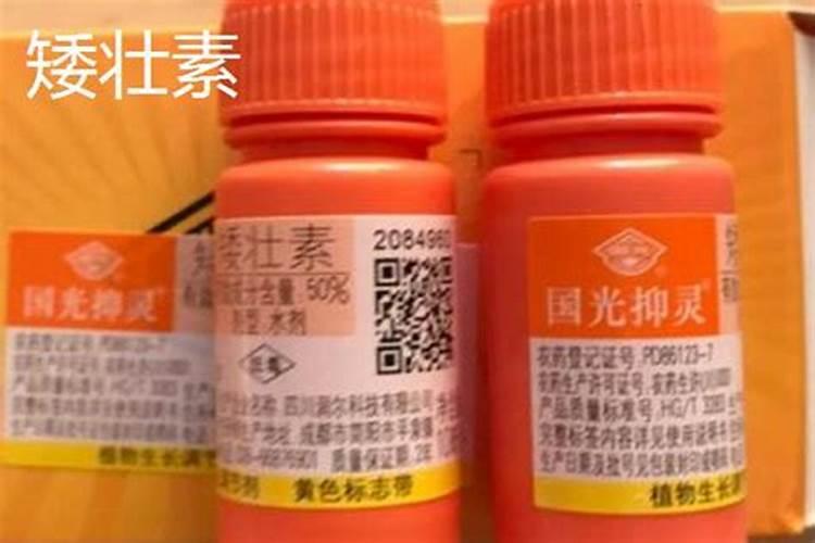 多效唑加磷酸二氢钾可以打棉花吗控梢