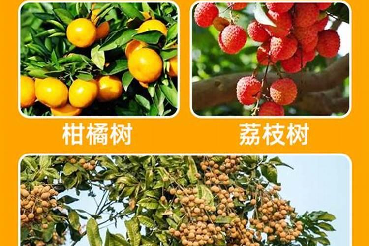 磷钾肥料的有哪些