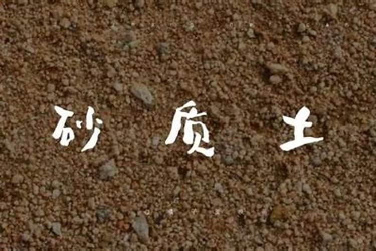 沙土地用什么肥料？