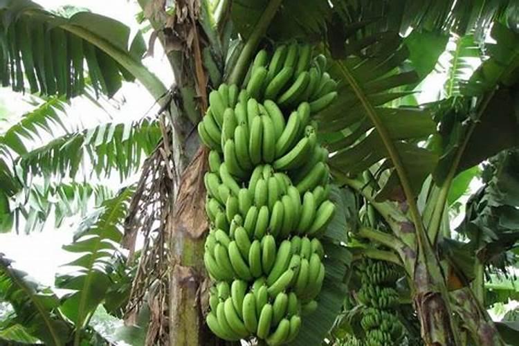 农夫果园30%混合果蔬汁(胡萝卜+苹果+橙) 整箱装 1.8L,健康之选百度知 ...