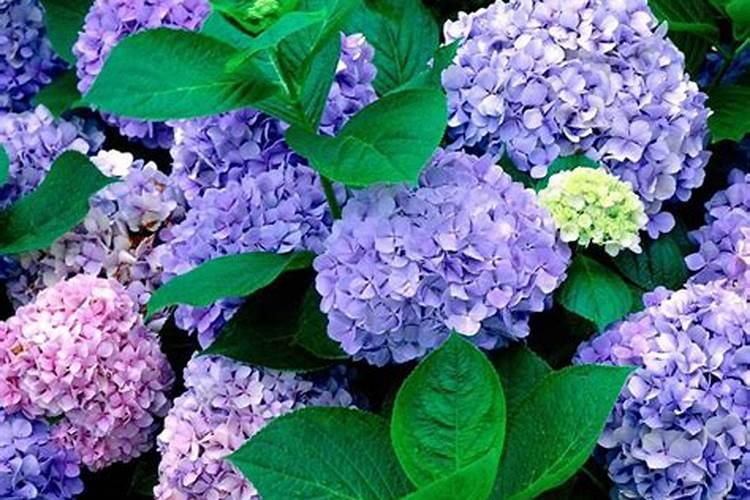 福建凯威斯发电机有限公司怎么样？