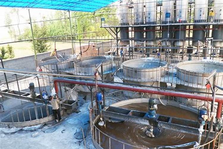 山东有机羽衣甘蓝浓缩汁生产厂家有哪些