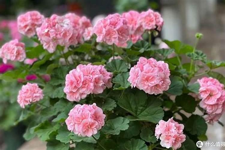 泸州周边小孩好玩的地方