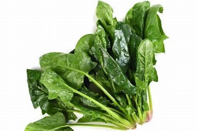 菠菜细菌性病害用什么药？