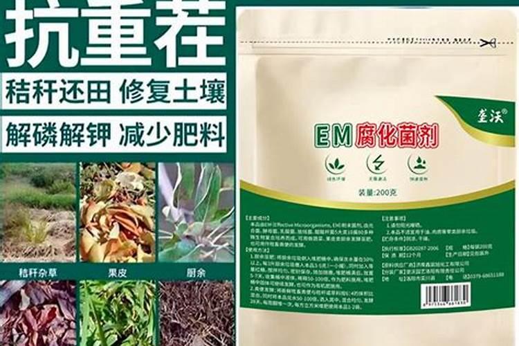 无胫豆的栽培技术