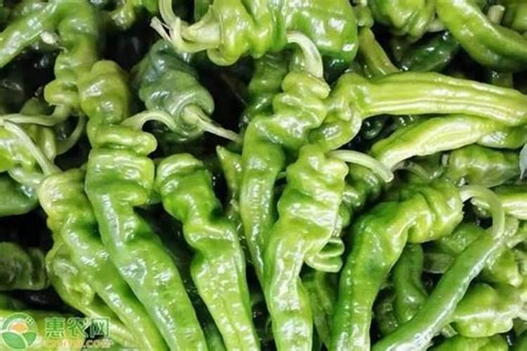 蓝宝石之王——克什米尔蓝宝石