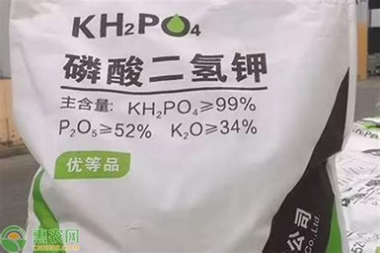水稻使用磷酸二氢钾什么时候用最好