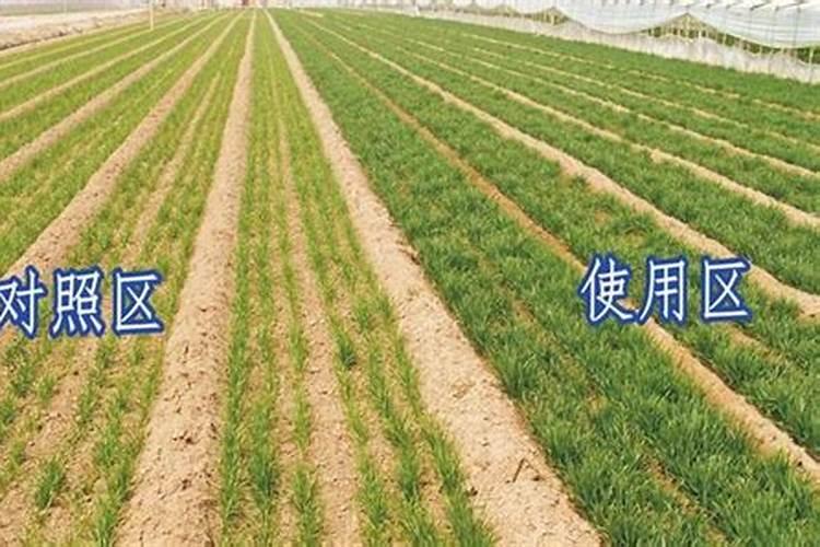 钾肥对植物的作用 钾肥对植物的作用促进哪部分生长