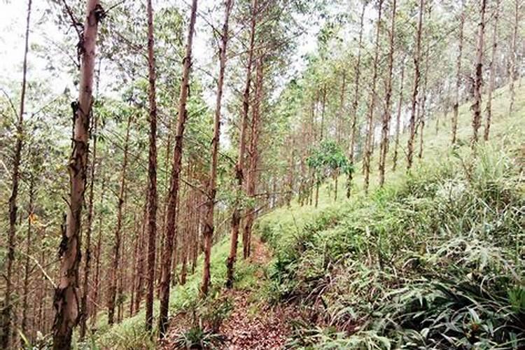 杭州绿厨节能科技有限公司的公司简介