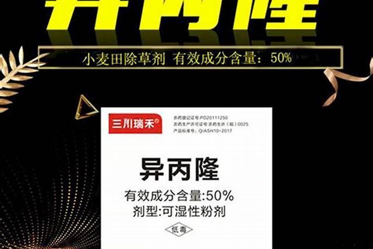 白杨树又高又大有点像竹子它的叶子像巨人的头发还有什么？