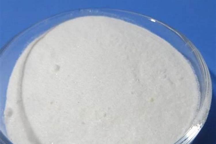 富贵树多久浇一次水